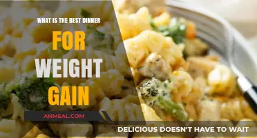 Nutrient-Rich Dinner Ideas to Fuel Healthy Weight Gain Effectively