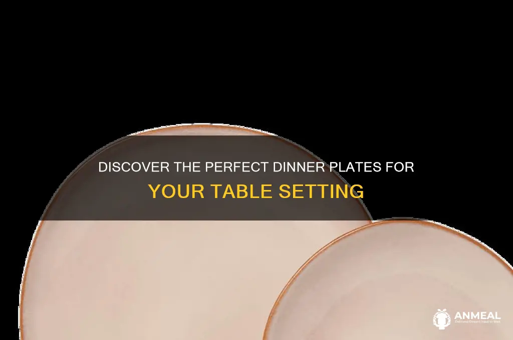 what is the best dinner plates