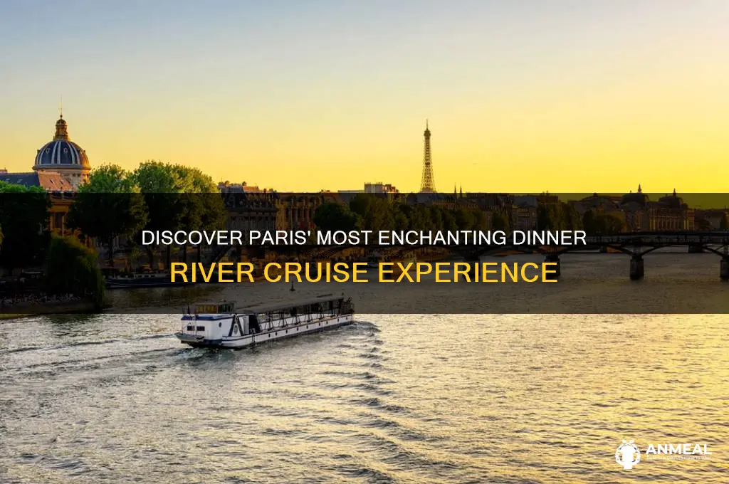 what is the best dinner river cruise in paris
