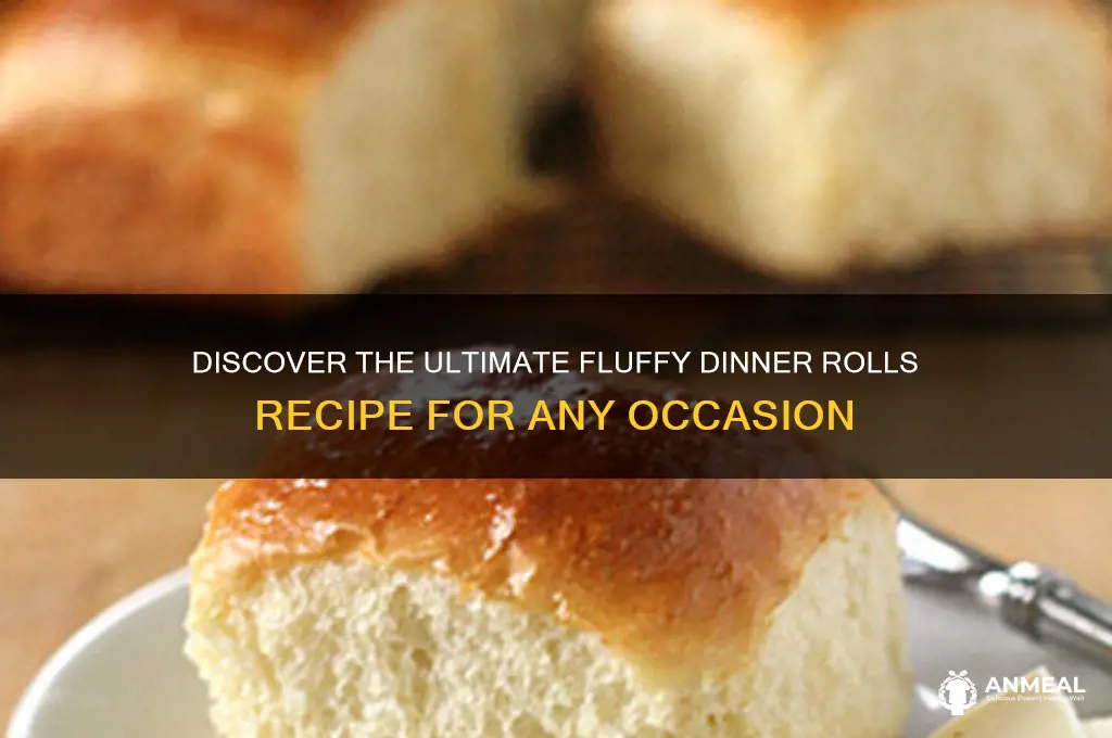 what is the best dinner rolls recipe ever