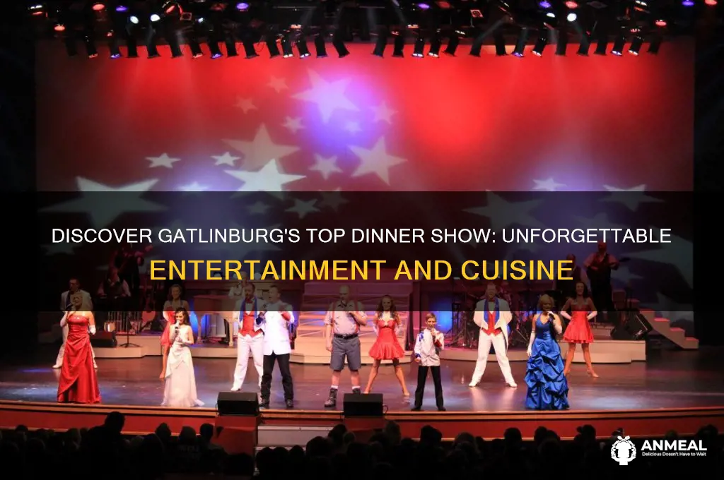 what is the best dinner show in gatlinburg