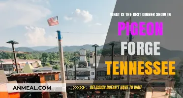 Discover Pigeon Forge's Top Dinner Show: A Must-See Experience