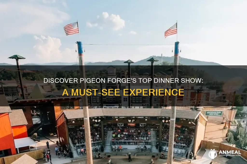 what is the best dinner show in pigeon forge tennessee