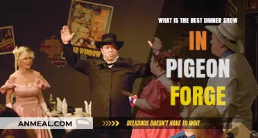 Discover Pigeon Forge's Top Dinner Show: A Must-See Experience
