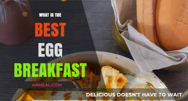 Perfect Egg Breakfast Ideas for a Nutritious and Delicious Morning Start