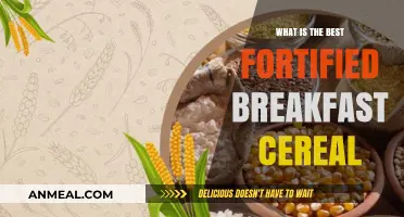 Top Fortified Breakfast Cereals for Optimal Nutrition and Energy Boost