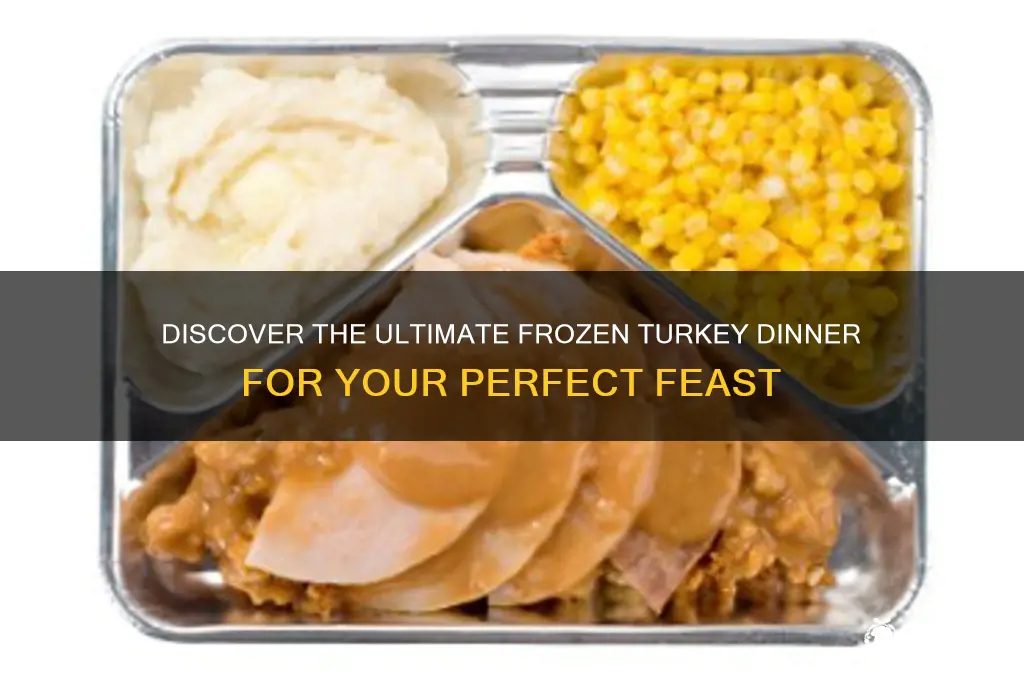 what is the best frozen turkey dinner