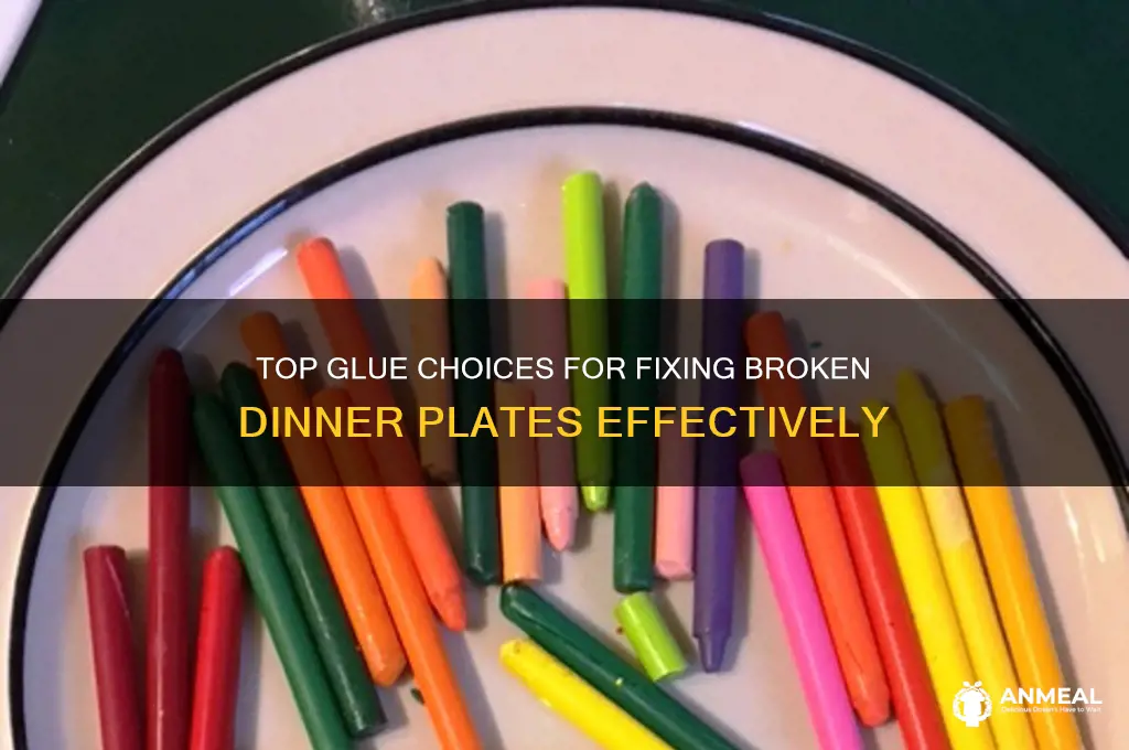 what is the best glue for repairing dinner plate