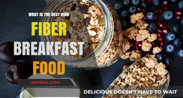 Boost Your Morning with These Top High-Fiber Breakfast Foods