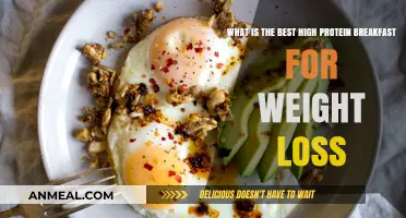 High-Protein Breakfast Ideas to Fuel Weight Loss and Energy