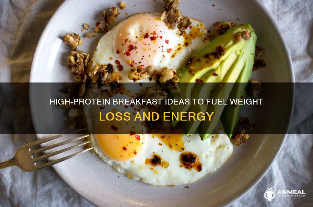 what is the best high protein breakfast for weight loss