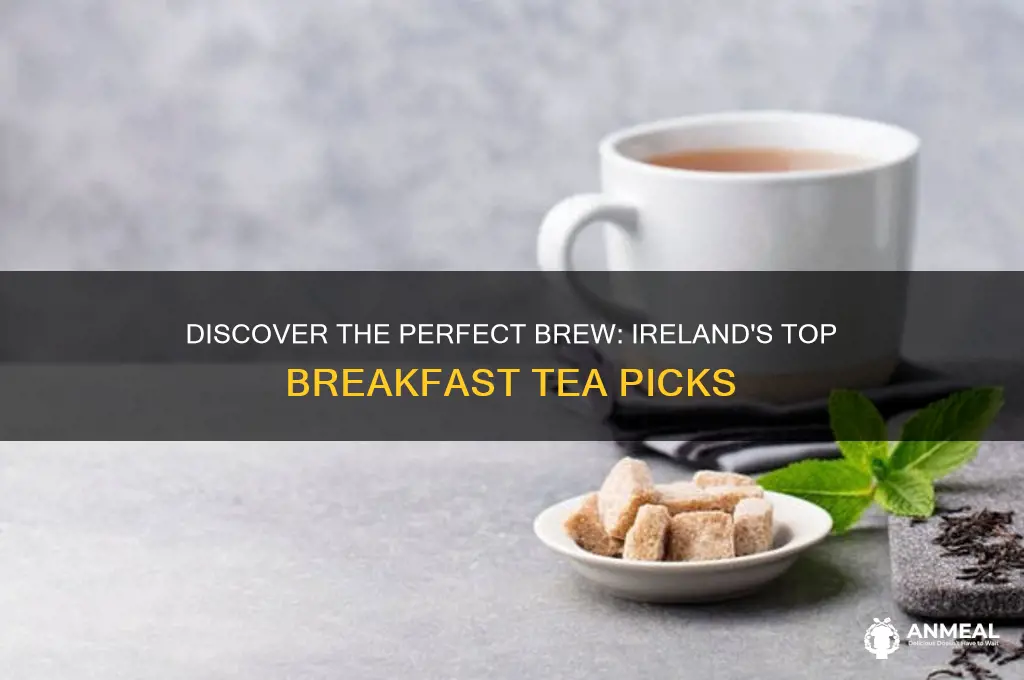 what is the best irish breakfast tea