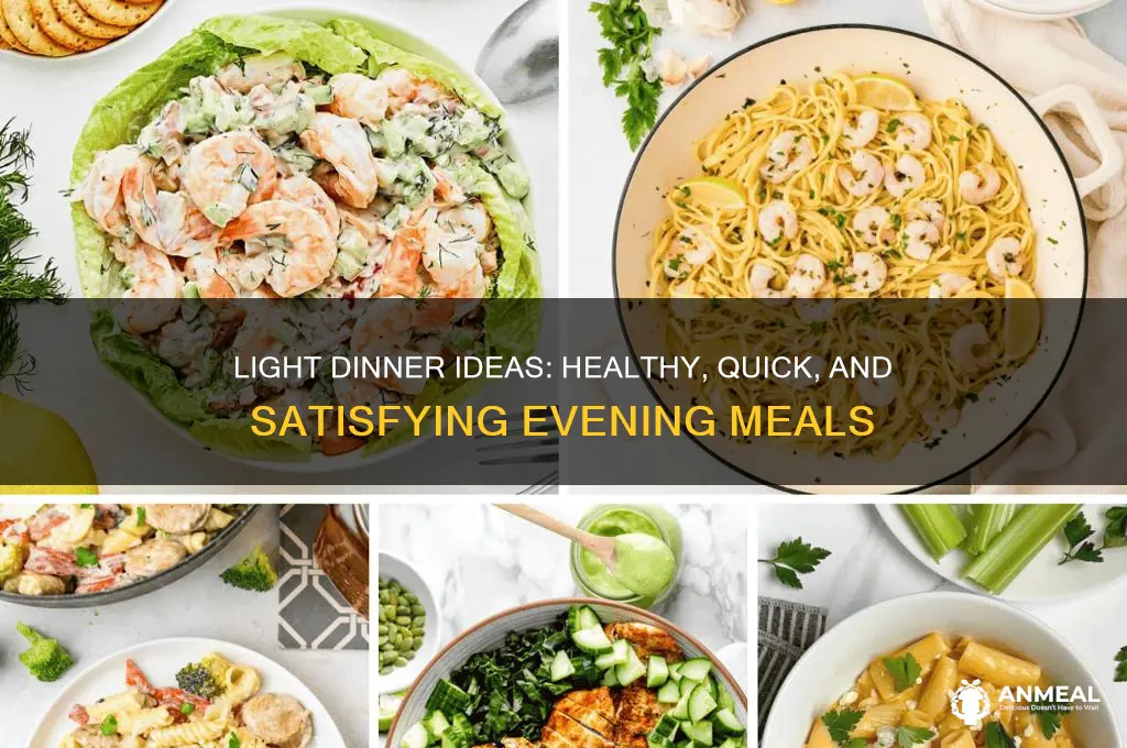 what is the best light dinner