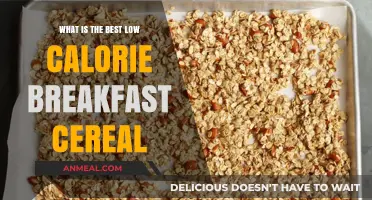 Healthy Morning Start: Top Low-Calorie Breakfast Cereals to Try