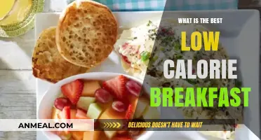 Healthy Low-Calorie Breakfast Ideas to Kickstart Your Day Right