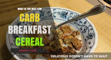 Top Low Carb Breakfast Cereals for a Healthy Morning Boost