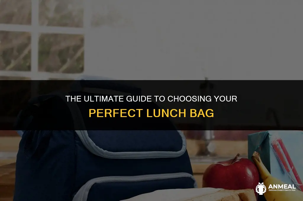 what is the best lunch bag