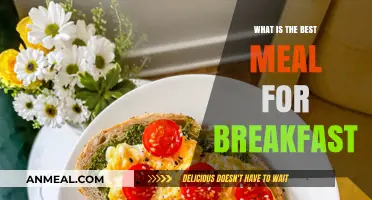 Best Breakfast Meals to Start Your Day