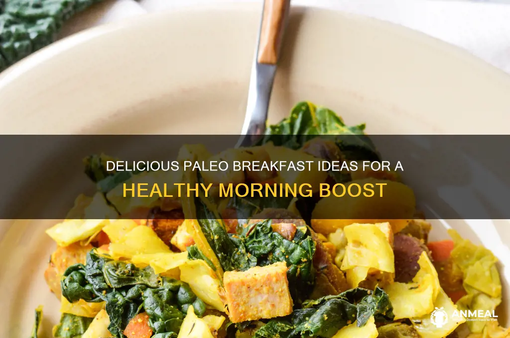what is the best paleo breakfast