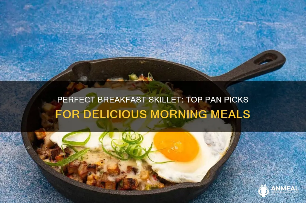 what is the best pan for breakfast skillet dishes