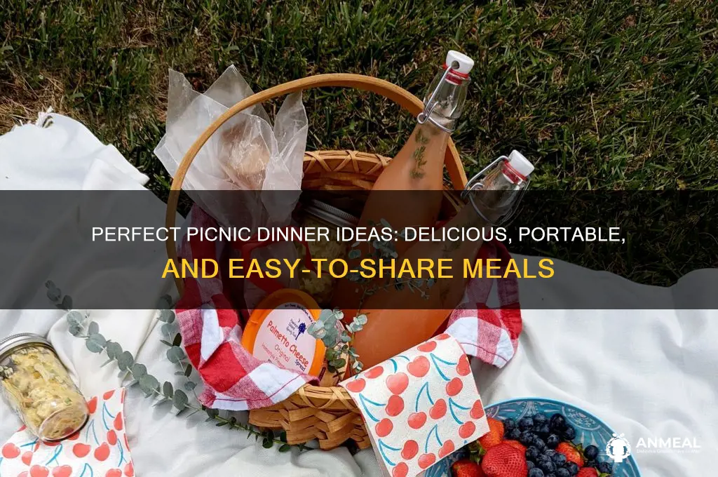 what is the best picnic dinner food