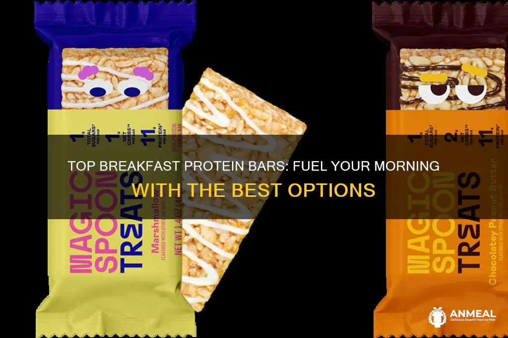 what is the best protein bar for breakfast