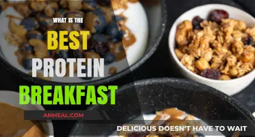 Protein-rich Breakfast: Best Morning Meals