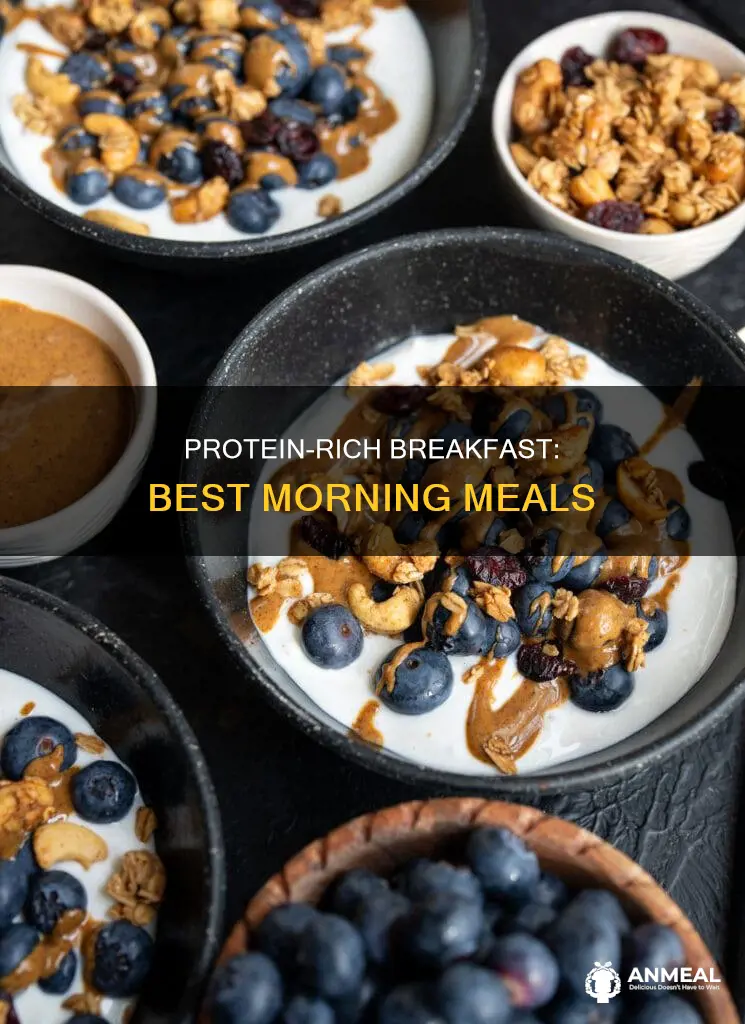 what is the best protein breakfast