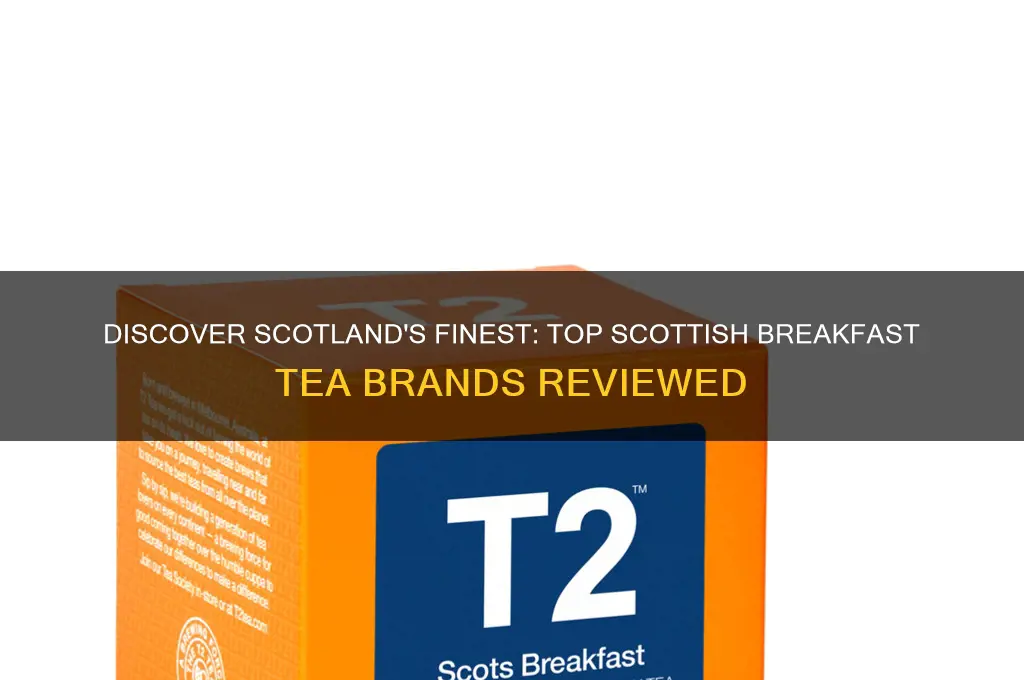 what is the best scottish breakfast tea brand