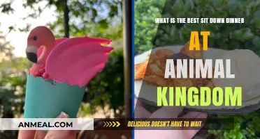 Top Sit-Down Dinner Spots at Animal Kingdom: A Foodie's Guide