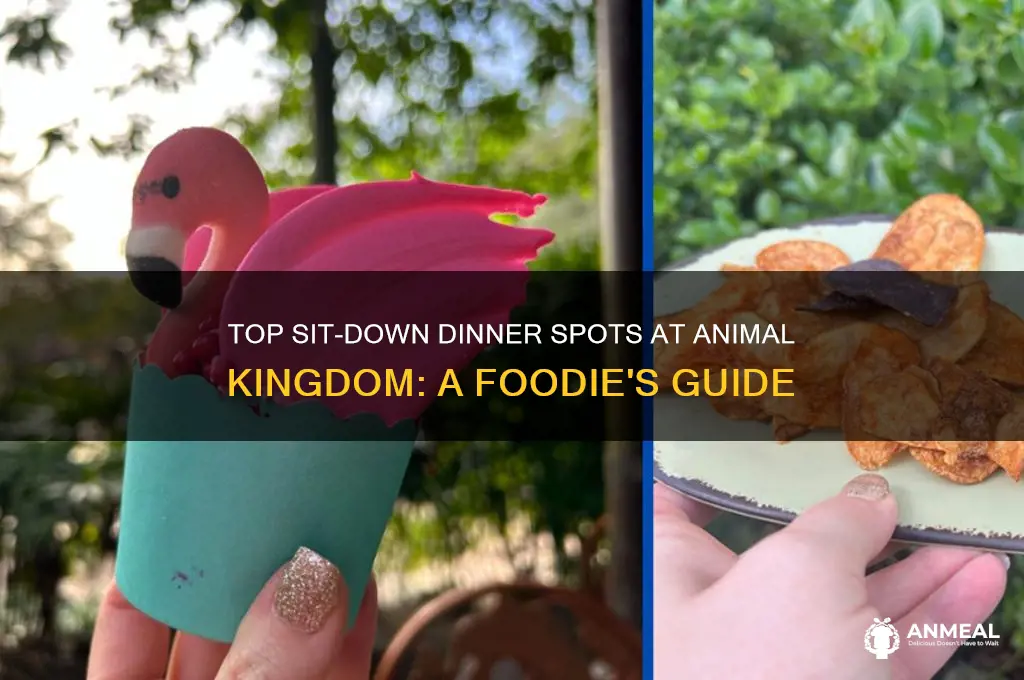 what is the best sit down dinner at animal kingdom