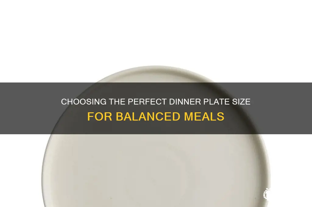 what is the best size for a dinner plate