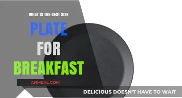 Perfect Breakfast Plate Size: Tips for a Balanced Morning Meal