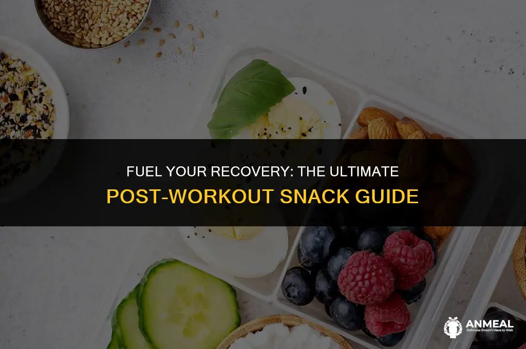 what is the best snack to eat after a workout