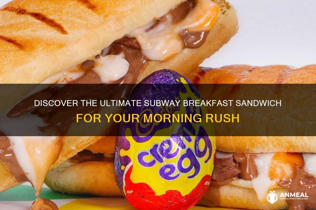 what is the best subway breakfast sandwich