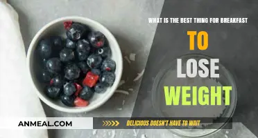 Healthy Breakfast Ideas to Kickstart Your Weight Loss Journey