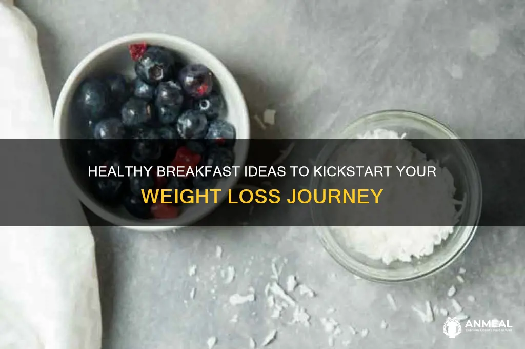what is the best thing for breakfast to lose weight