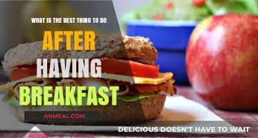 Kickstart Your Day: Top Post-Breakfast Activities for Energy and Focus