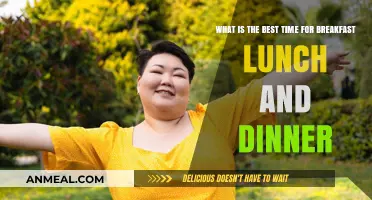 Optimal Meal Timing: Best Hours for Breakfast, Lunch, and Dinner