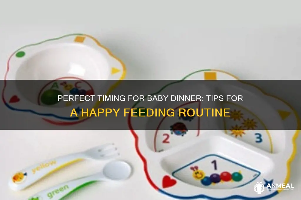 what is the best time to give baby dinner