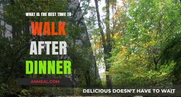 Optimal Post-Dinner Walk Timing for Better Digestion and Health