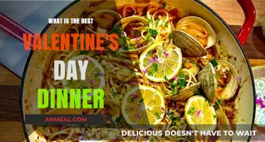Romantic Valentine's Day Dinner Ideas: Perfect Recipes for Two