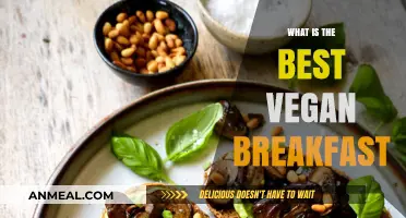 Delicious and Nutritious: The Ultimate Guide to the Best Vegan Breakfast