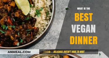 Delicious Vegan Dinner Ideas: Healthy, Flavorful, and Easy Recipes