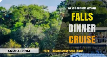 Discover the Ultimate Victoria Falls Dinner Cruise Experience