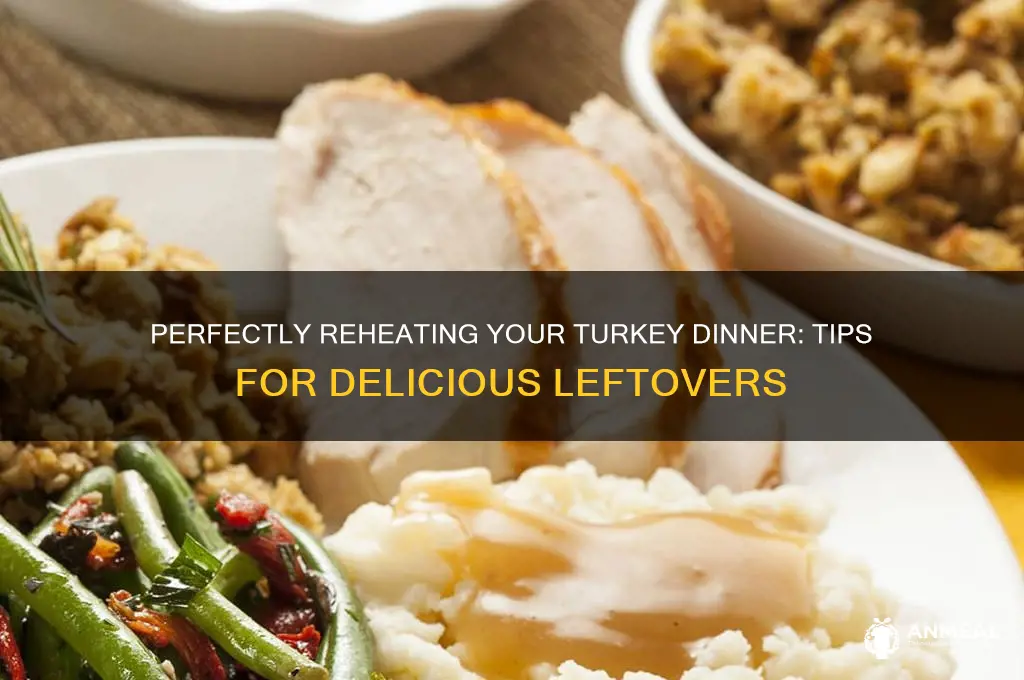 what is the best way to reheat a turkey dinner