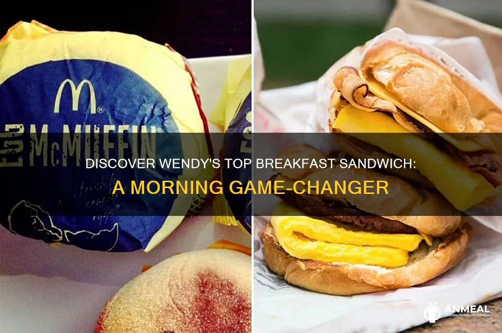 what is the best wendy