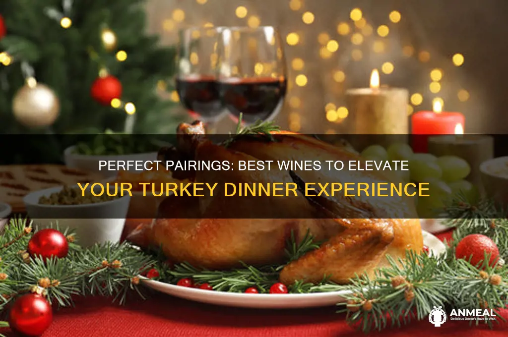what is the best wine for turkey dinner