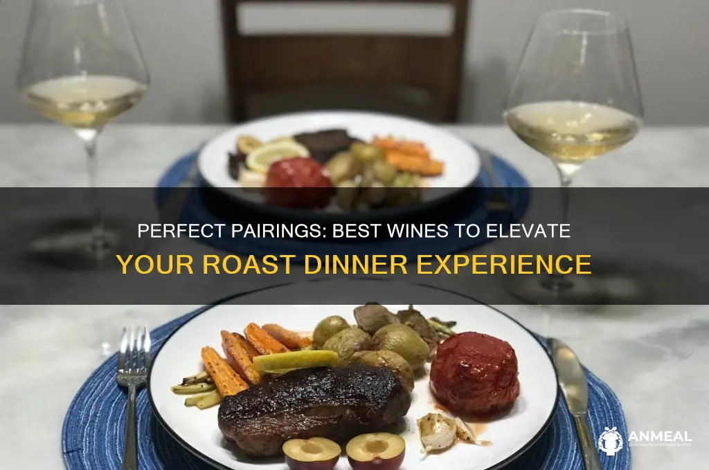 what is the best wine to go with roast dinner