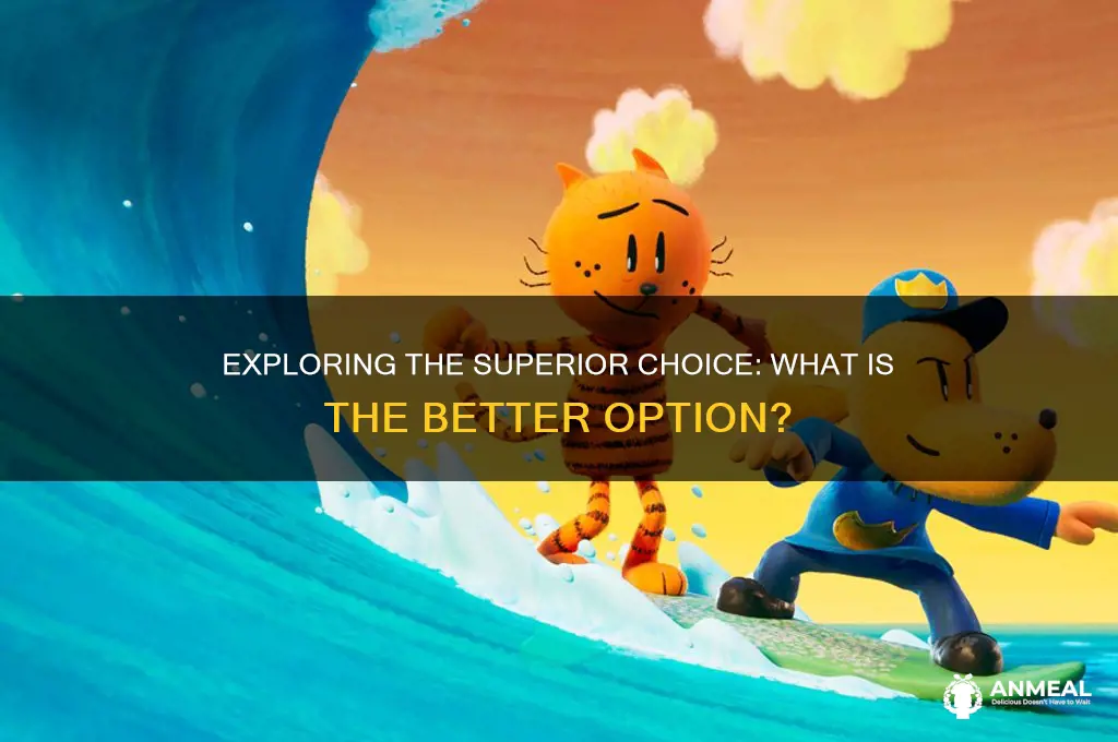 what is the better
